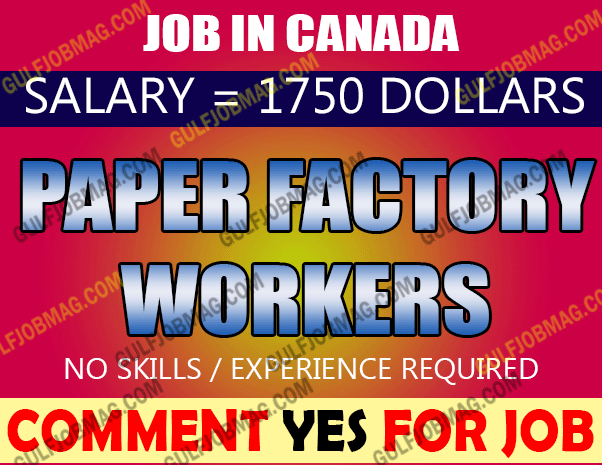 Paper Factory Worker