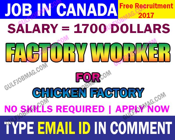 Chicken Factory Worker