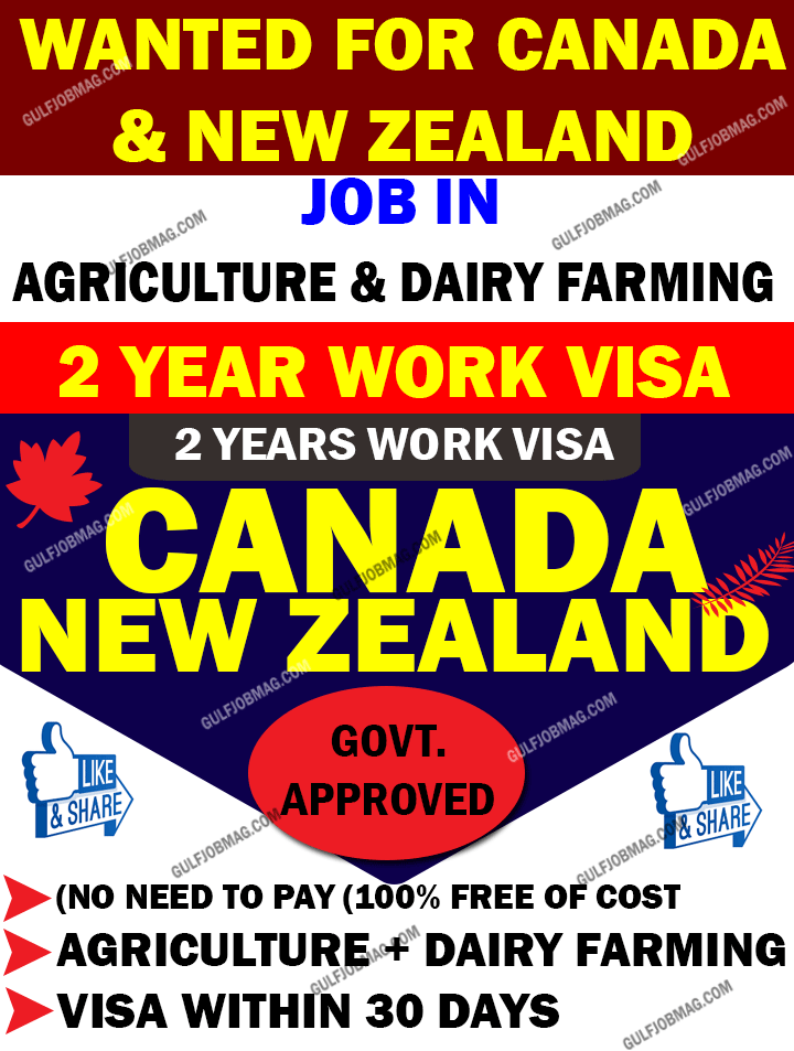 job in canada