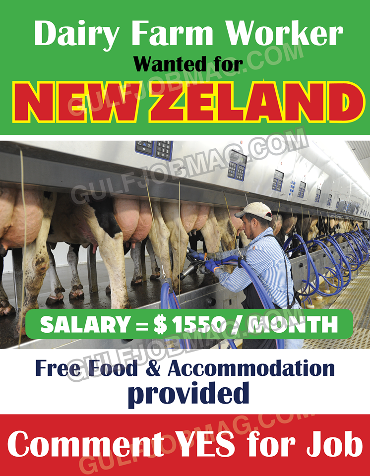 Dairy Farming Worker wanted for NEWZEALAND Gulf Job Mag