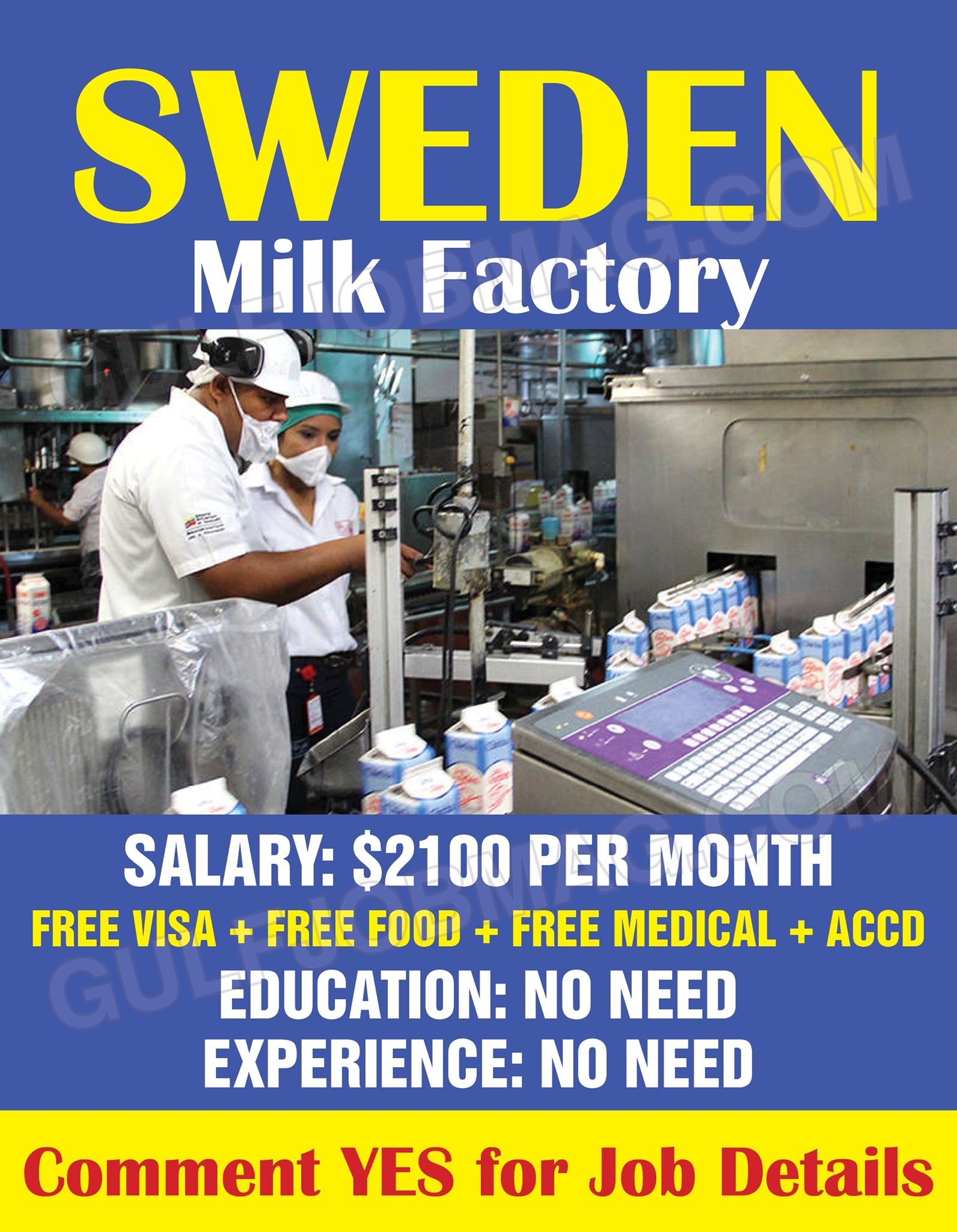 Milk Factory worker in Sweden Gulf Job Mag