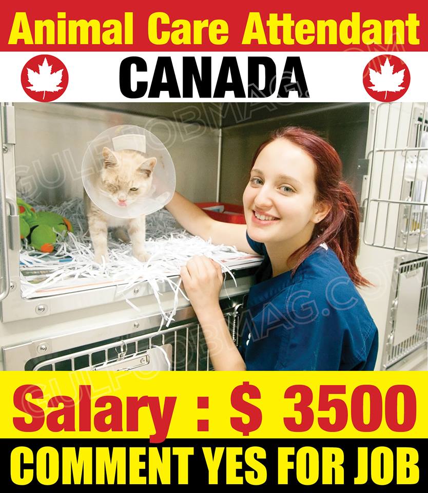 Animal Care Attendant wanted in Canada - Gulf Job Mag