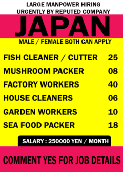work in japan