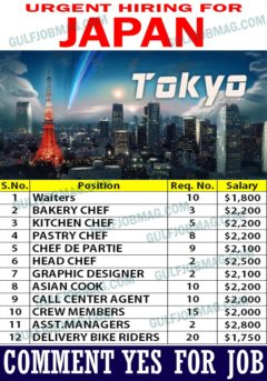 japan job