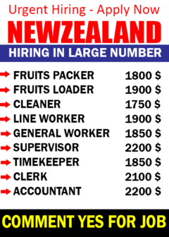 job in newzealand
