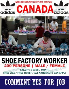 Shoe Factory Job