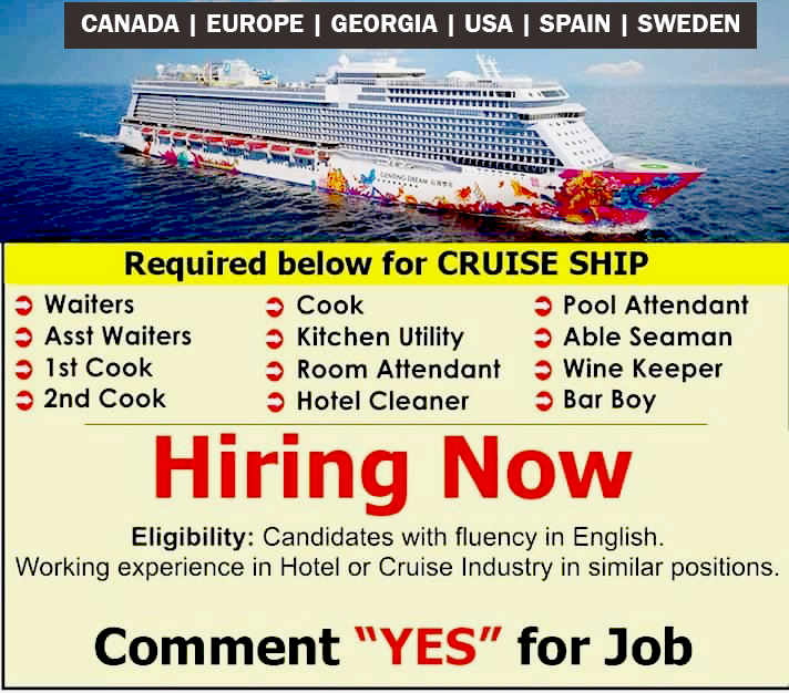 dream job cruise ship